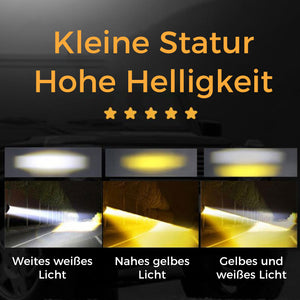 Modifizierte Strahler-Eulenlampe