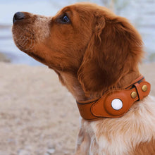 Laden Sie das Bild in den Galerie-Viewer, Lederhalsband für Haustiere