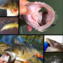 Laden Sie das Bild in den Galerie-Viewer, Magnetischer Simulationsköder