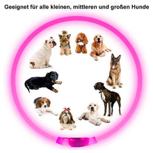 Laden Sie das Bild in den Galerie-Viewer, Wiederaufladbares Leuchtendes Halsband Für Haustiere