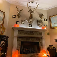 Laden Sie das Bild in den Galerie-Viewer, Anhänger aus Kunstharz mit Tierkopf