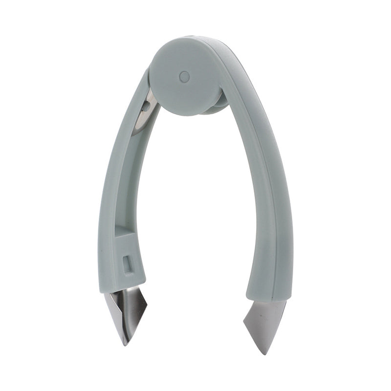 Multifunktionale Obstpinzette Samenentferner