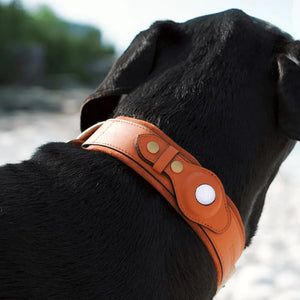 Lederhalsband für Haustiere