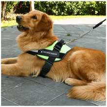 Laden Sie das Bild in den Galerie-Viewer, Oxford- Gewebe Ziehweste für Hunde