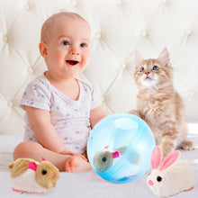 Laden Sie das Bild in den Galerie-Viewer, Hamster läuft Ballspielzeug