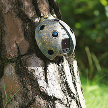 Laden Sie das Bild in den Galerie-Viewer, Lampen-Marienkäfer-Ornamente