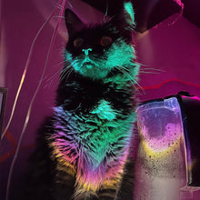 Laden Sie das Bild in den Galerie-Viewer, Sonnenuntergangsprojektion Unterschrankleuchten