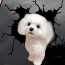 Laden Sie das Bild in den Galerie-Viewer, Kreativer Hundeaufkleber für Autofenster