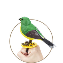 Laden Sie das Bild in den Galerie-Viewer, Kreatives und lustiges Sprachsteuerungssimulation Vogelspielzeug