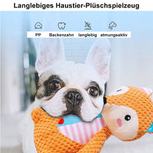 Laden Sie das Bild in den Galerie-Viewer, Hund Plüsch Klingendes Spielzeug