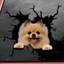 Laden Sie das Bild in den Galerie-Viewer, Kreativer Hundeaufkleber für Autofenster