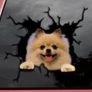 Kreativer Hundeaufkleber für Autofenster
