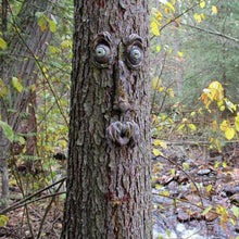 Laden Sie das Bild in den Galerie-Viewer, Baumgesicht Dekoration im Freien