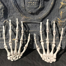 Laden Sie das Bild in den Galerie-Viewer, Gruselige Halloween Pfote Requisiten