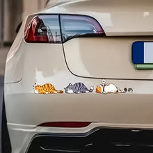 Laden Sie das Bild in den Galerie-Viewer, Kreativer Cartoon Katzen Motorrad Auto Aufkleber