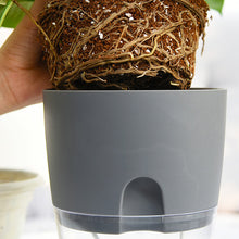 Laden Sie das Bild in den Galerie-Viewer, Selbstbewässernder Blumentopf