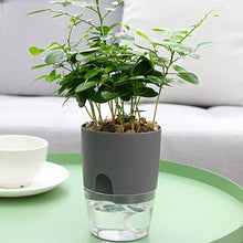 Laden Sie das Bild in den Galerie-Viewer, Selbstbewässernder Blumentopf