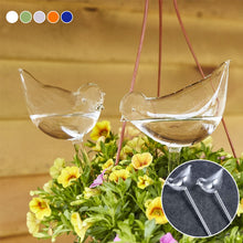 Laden Sie das Bild in den Galerie-Viewer, Selbstbewässernde Glasvögel