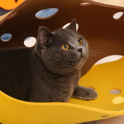 Katzen-Tunnel