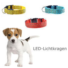 Laden Sie das Bild in den Galerie-Viewer, LED leuchtendes Hundehalsband mit Leopardenmuster
