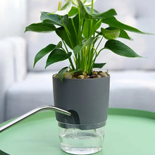 Laden Sie das Bild in den Galerie-Viewer, Selbstbewässernder Blumentopf