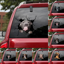 Laden Sie das Bild in den Galerie-Viewer, Kreativer Hundeaufkleber für Autofenster