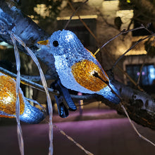Laden Sie das Bild in den Galerie-Viewer, Solar-LED-Vogelform-dekoratives Licht