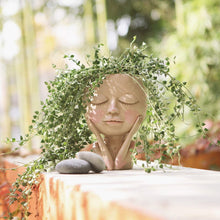 Laden Sie das Bild in den Galerie-Viewer, Niedlicher Kaktus-Blumentopf aus Harz