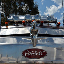 Laden Sie das Bild in den Galerie-Viewer, Ärgerliche Gummiente Motorhaube Ornament