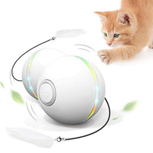 Laden Sie das Bild in den Galerie-Viewer, Freietaube Laser Katzenball mit Feder