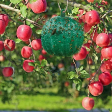 Laden Sie das Bild in den Galerie-Viewer, Hängende klebrige Fruchtfliegenfalle zum Schutz der Umwelt