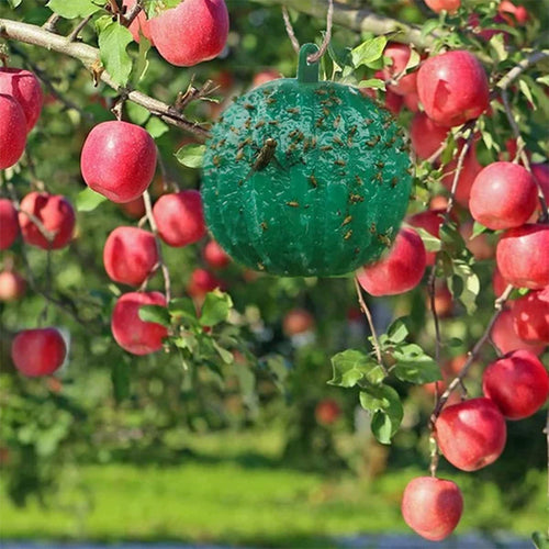 Hängende klebrige Fruchtfliegenfalle zum Schutz der Umwelt