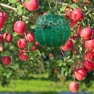 Hängende klebrige Fruchtfliegenfalle zum Schutz der Umwelt