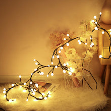 Laden Sie das Bild in den Galerie-Viewer, Verzaubertes Weidenrebenlicht