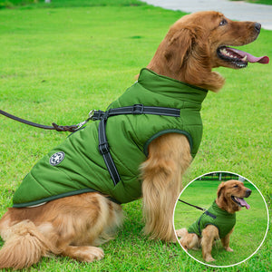Wasserdichte Winterjacke für Hunde