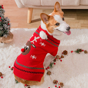 Warme Weihnachtskleidung für Haustiere