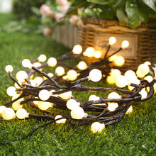 Laden Sie das Bild in den Galerie-Viewer, Verzaubertes Weidenrebenlicht