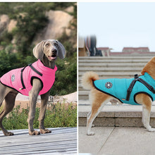 Laden Sie das Bild in den Galerie-Viewer, Wasserdichte Winterjacke für Hunde