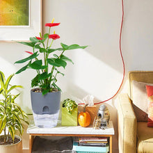 Laden Sie das Bild in den Galerie-Viewer, Selbstbewässernder Blumentopf