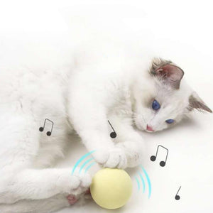 Gravitationsbellendes Katzenspielzeug