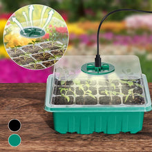 Laden Sie das Bild in den Galerie-Viewer, Sämlingsaufzuchtbox mit leichter Sämlingsheberkultivierung