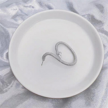 Laden Sie das Bild in den Galerie-Viewer, Übertriebene schlangenförmigen Ohrringe