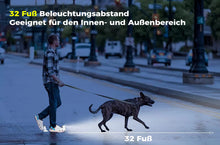 Laden Sie das Bild in den Galerie-Viewer, Schuhlicht dekorative Beleuchtung