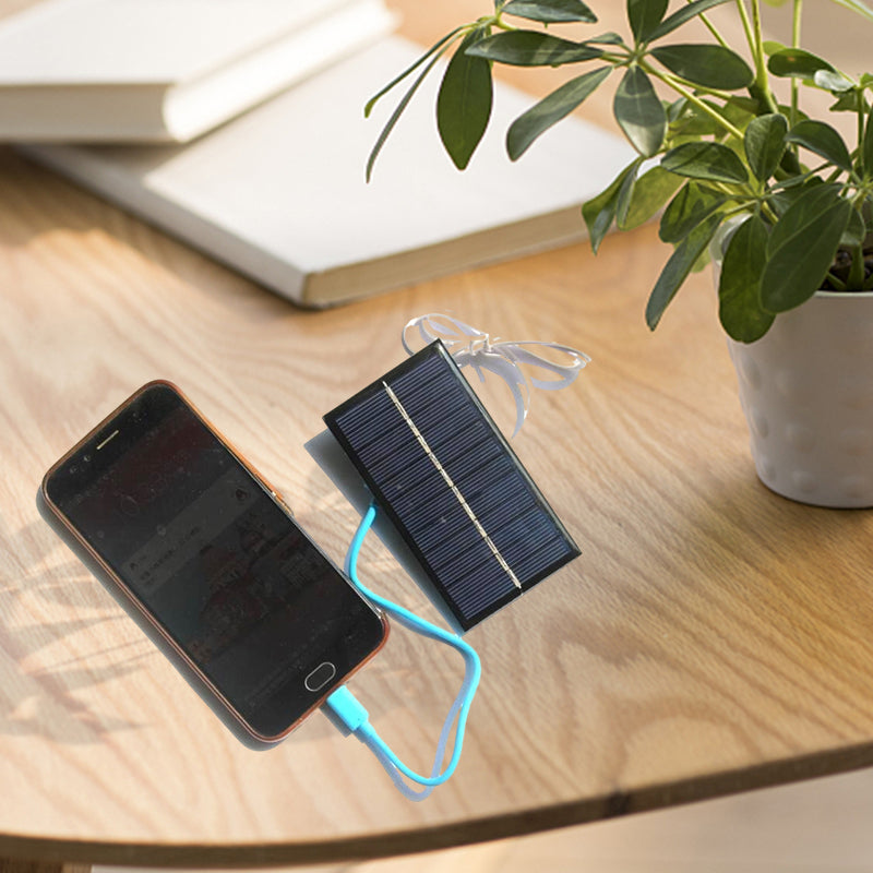 Solarpanel-Ladegerät