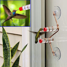 Laden Sie das Bild in den Galerie-Viewer, Kolibri-Feeder