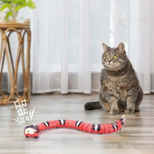 Laden Sie das Bild in den Galerie-Viewer, Interaktives Schlangenspielzeug für Katzen