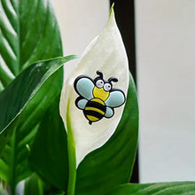 Laden Sie das Bild in den Galerie-Viewer, 😂Niedliche magnetische Pflanzendekoration (6 Stück/Set)