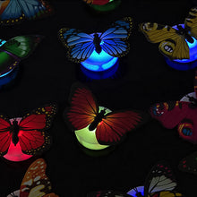 Laden Sie das Bild in den Galerie-Viewer, Leuchtender Schmetterling Wandaufkleber