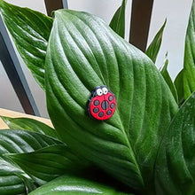 Laden Sie das Bild in den Galerie-Viewer, 😂Niedliche magnetische Pflanzendekoration (6 Stück/Set)