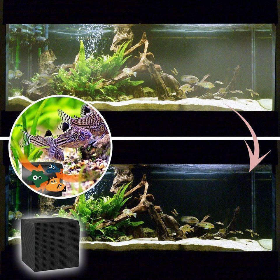 Eco Aquarium Wasserfilterwürfel
